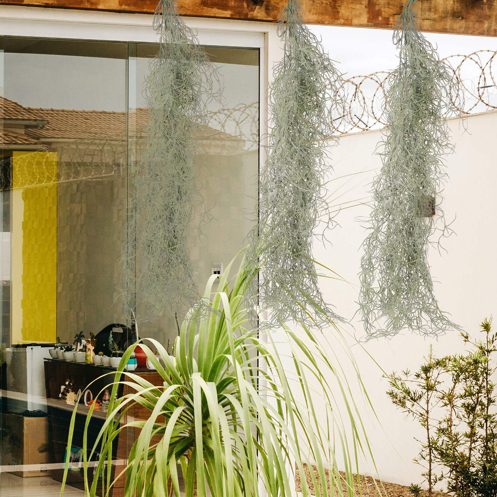 Hanging Moss Decor Artificial  – Sphagnum Moss Dry recenzja i cena