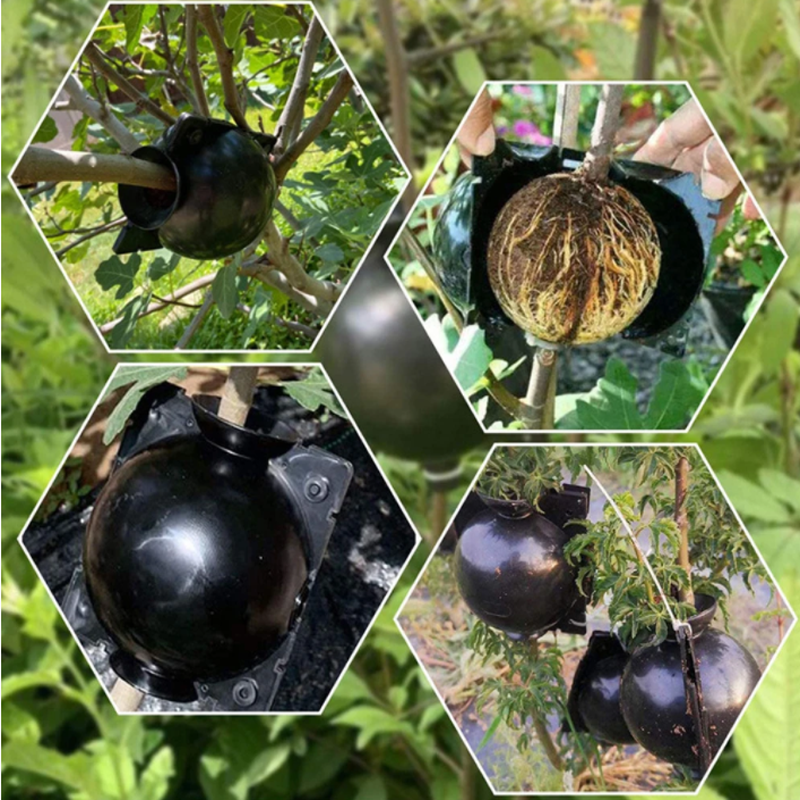 Garden Orchard Plants Grafting – Rooting Gel Clone recenzja i cena
