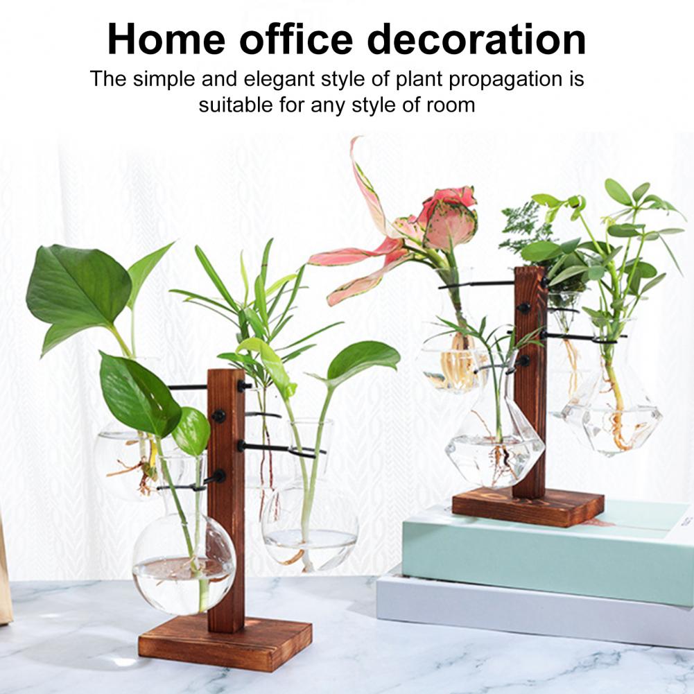 1 Set 10*25cm Plants Propagati – Propagation Station Vase recenzja i cena