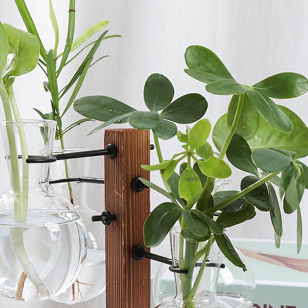 1 Set 10*25cm Plants Propagati – Propagation Station Vase recenzja i cena