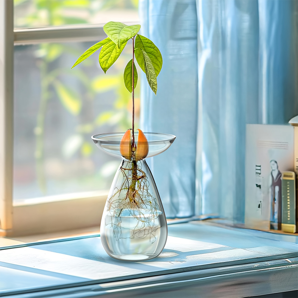 Avocado Seed Starter Vase Tran – Propagation Station Vase recenzja i cena