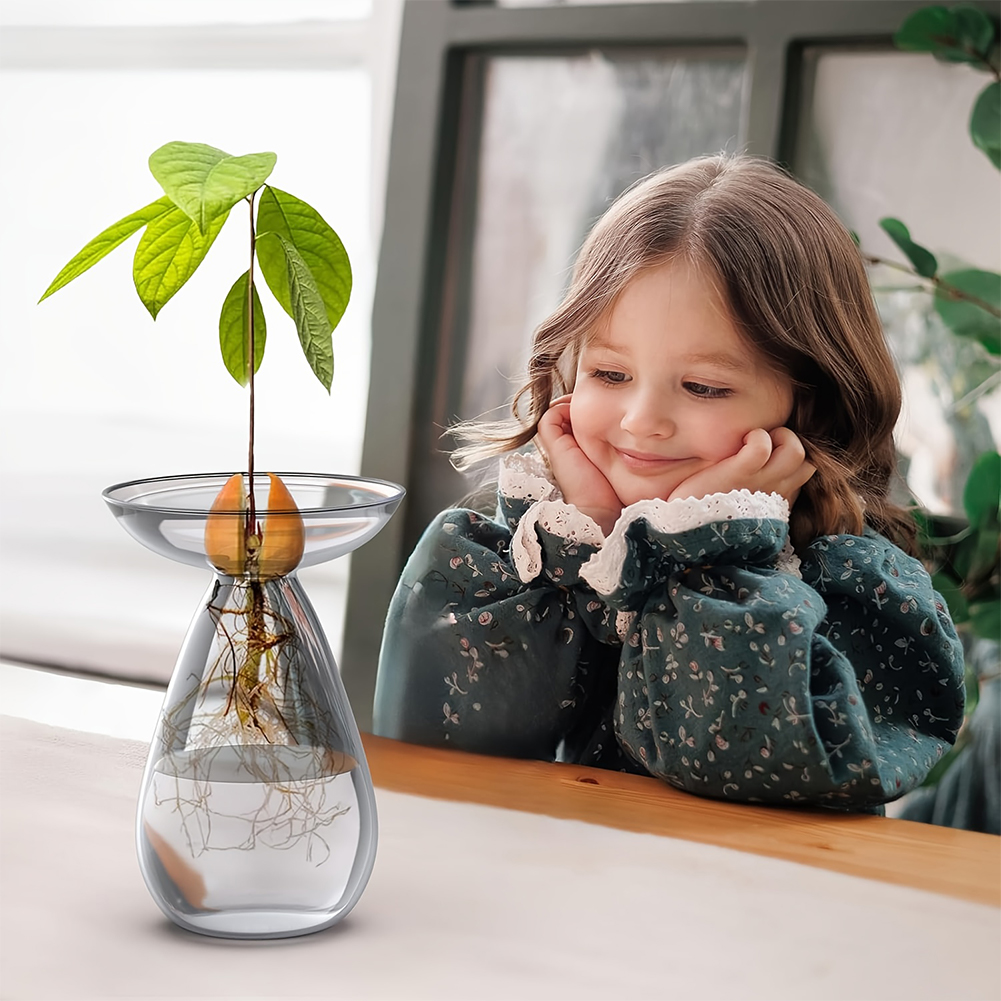 Avocado Seed Starter Vase Tran – Propagation Station Vase recenzja i cena