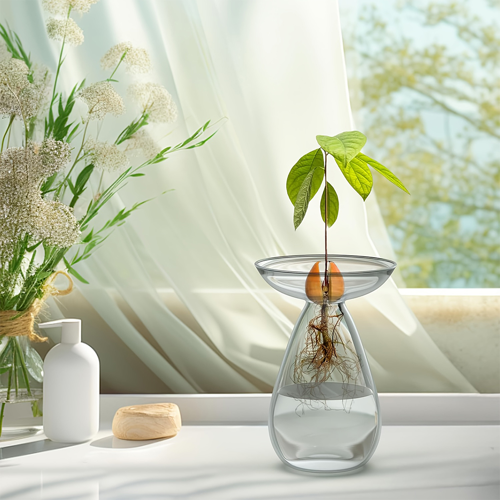 Avocado Seed Starter Vase Tran – Propagation Station Vase recenzja i cena