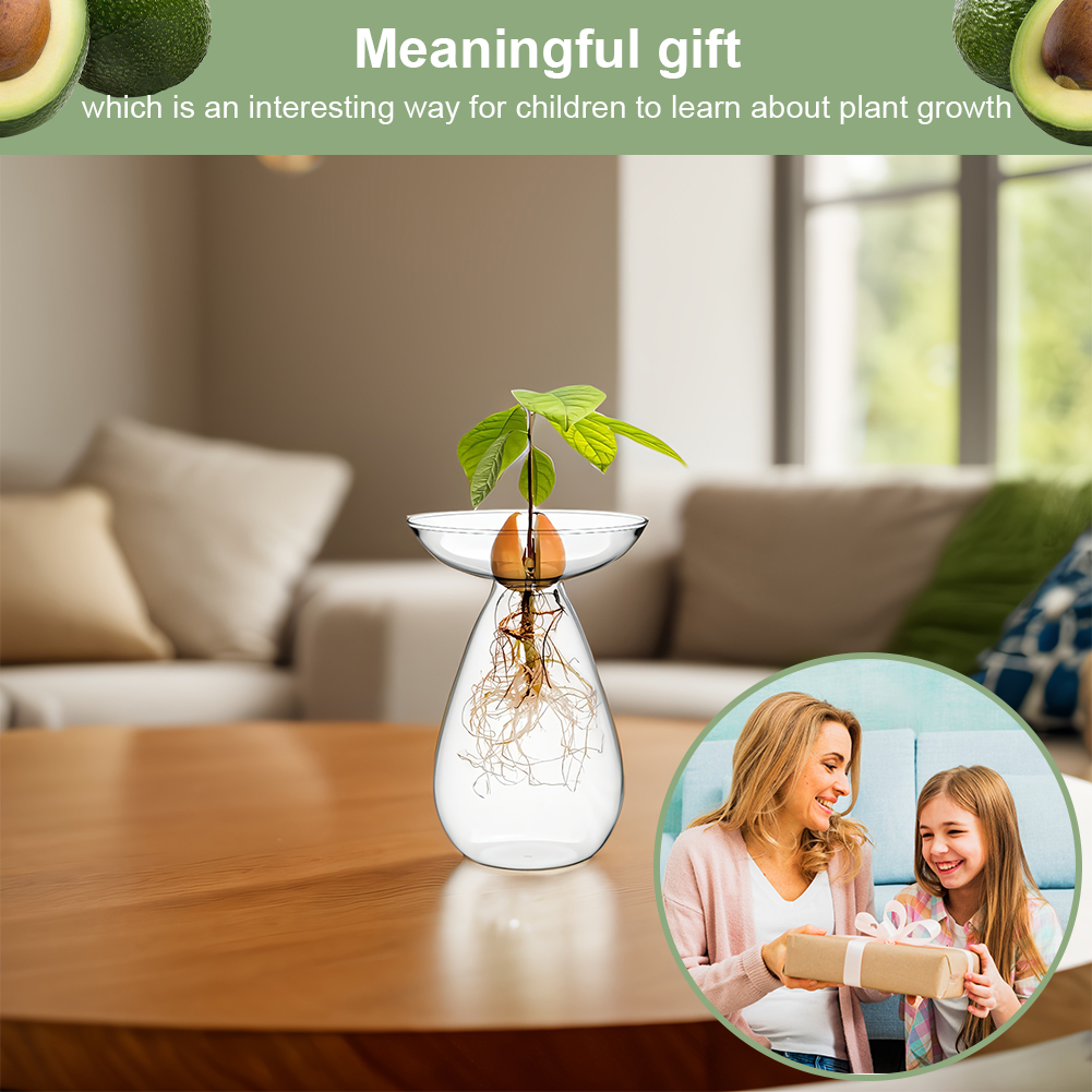 Avocado Seed Starter Vase Tran – Propagation Station Vase recenzja i cena