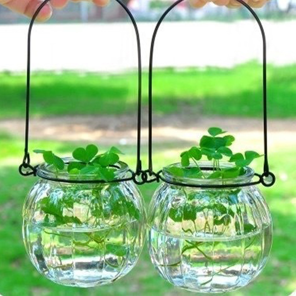6Pcs Transparent Hanging Glass – Propagation Station Vase recenzja i cena