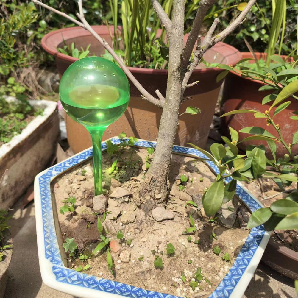 Automatic Plant Watering Bulbs – Self Watering Insert recenzja i cena