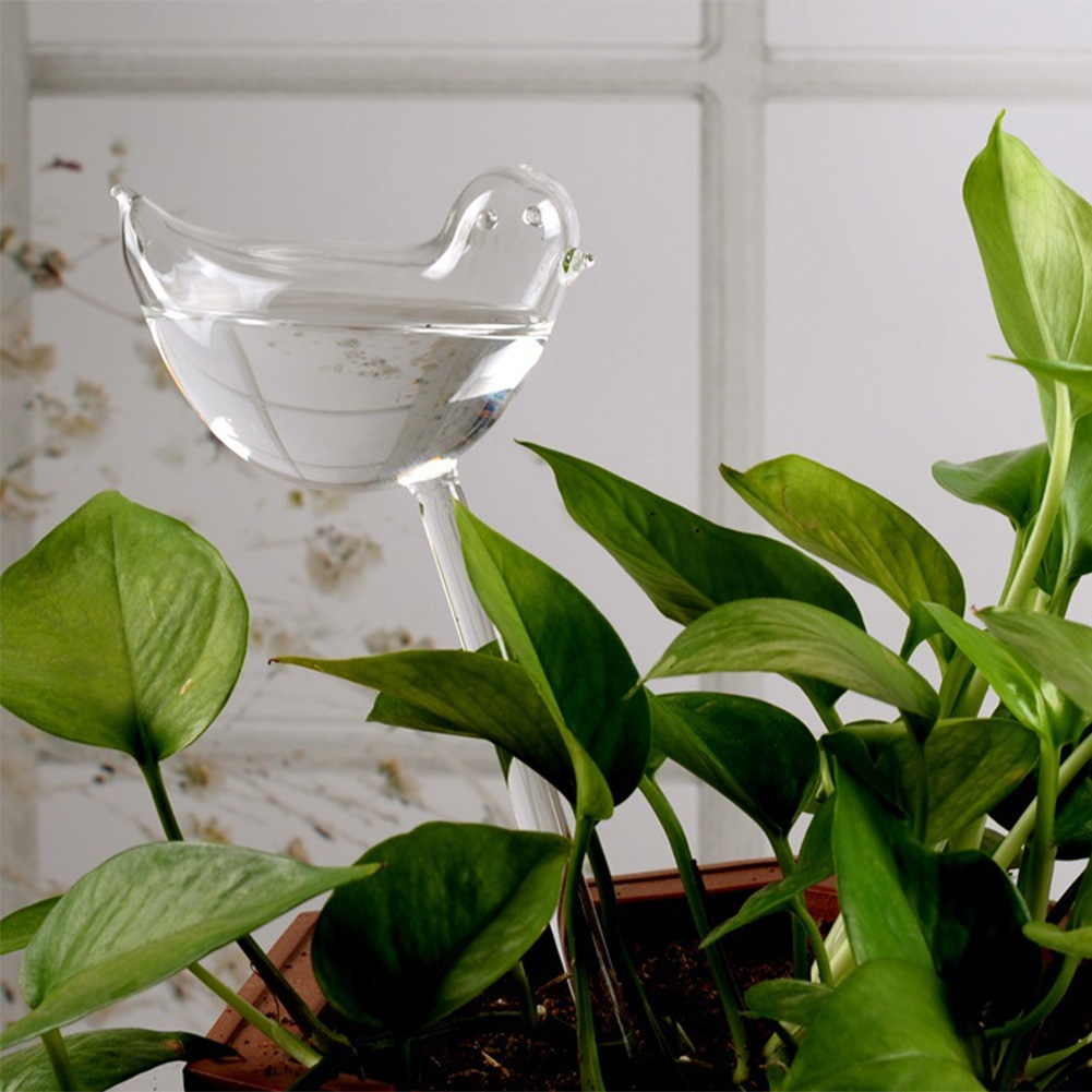 Automatic Plant Watering Bulbs – Self Watering Insert recenzja i cena