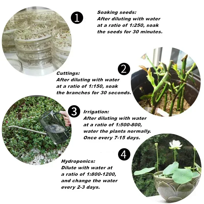 10g Quickly Rooting Powder Hor – Rooting Hormone Powder recenzja i cena