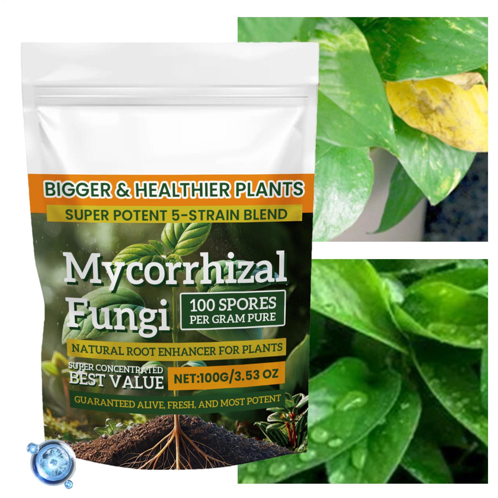 Plant Growth Enhancer Powder 1 – Rooting Hormone Powder recenzja i cena