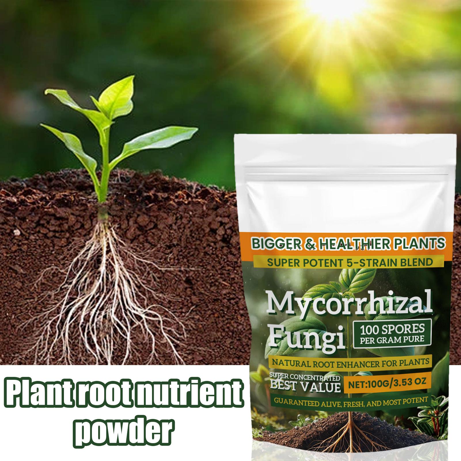 Plant Growth Enhancer Powder 1 – Rooting Hormone Powder recenzja i cena