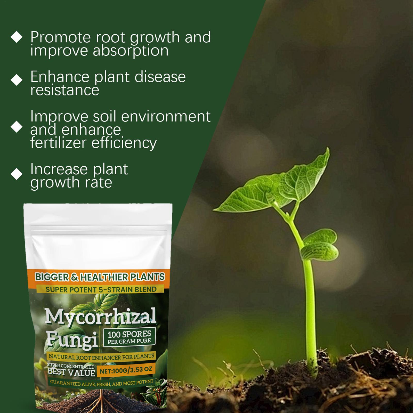 Plant Growth Enhancer Powder 1 – Rooting Hormone Powder recenzja i cena
