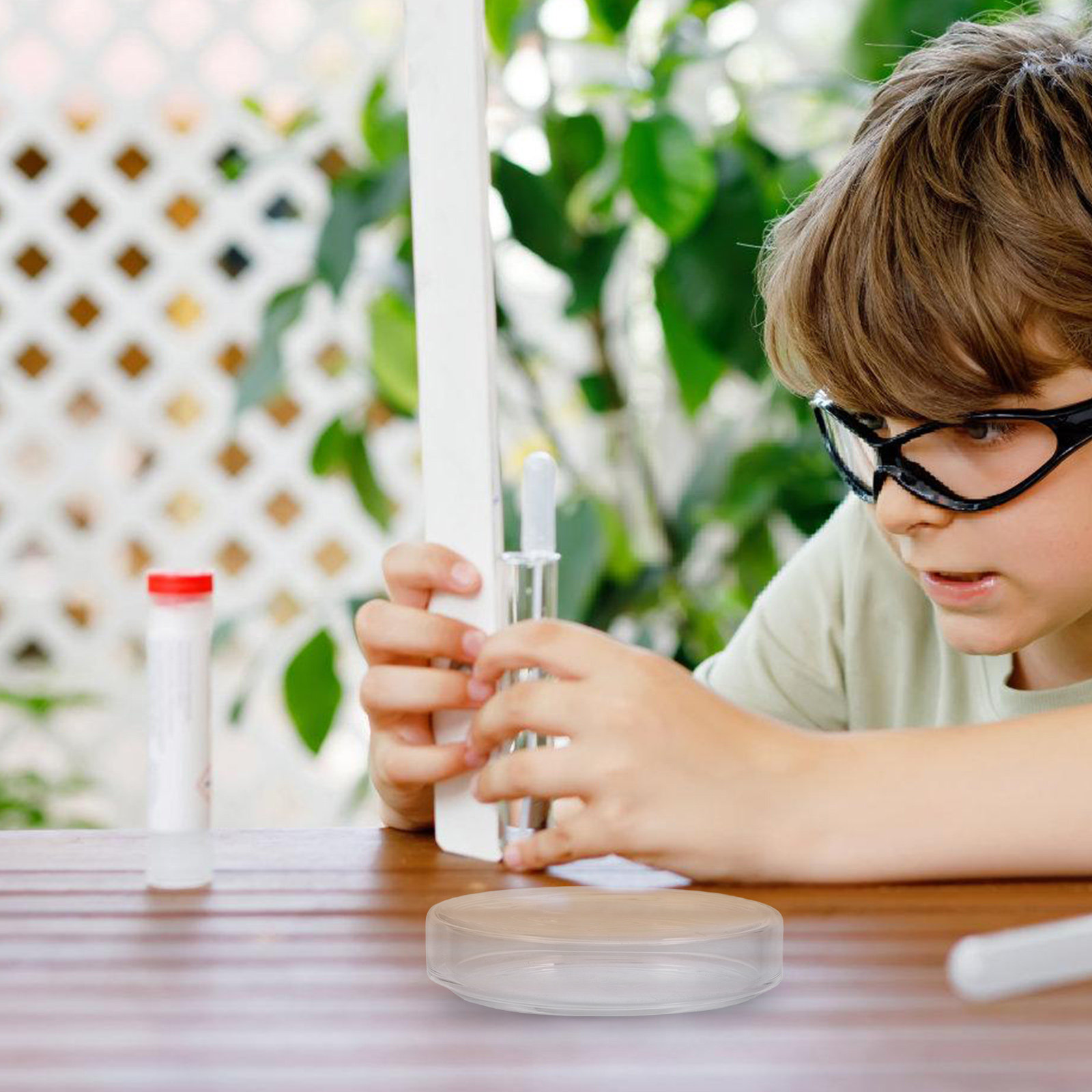 High Borosilicate Glass Petri  – Agar Tissue Culture recenzja i cena