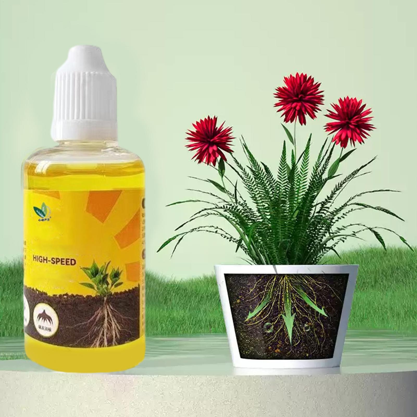 Plant Rapid Rooting Solution 5 – Root Stimulator Liquid recenzja i cena
