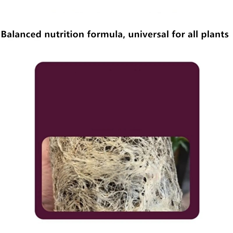 2bags Rooting Hormone Powder U – Rooting Hormone Powder recenzja i cena