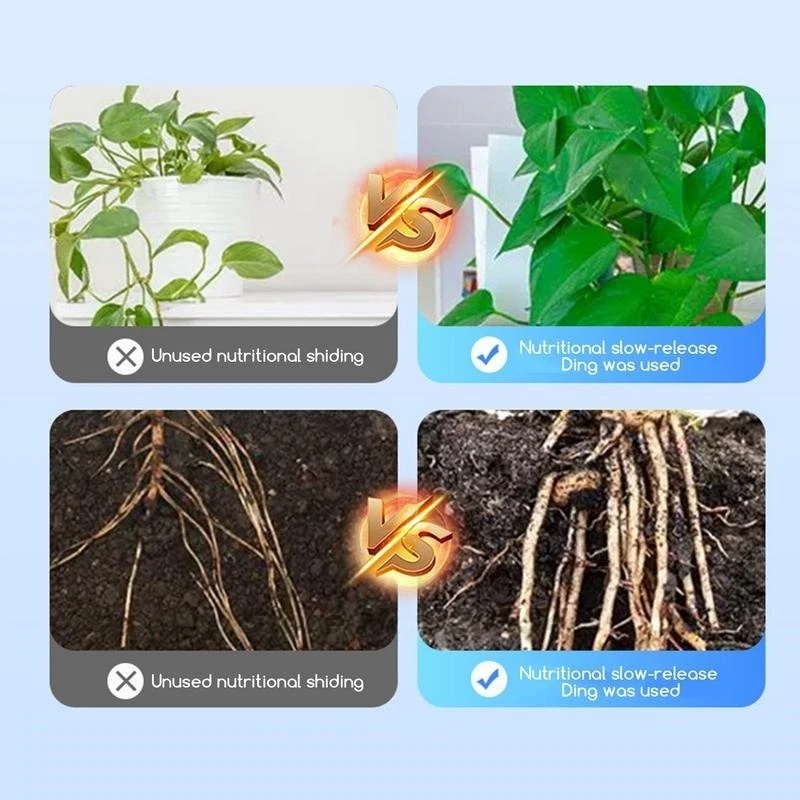 500g High-strength Rooting Hor – Rooting Hormone Powder recenzja i cena
