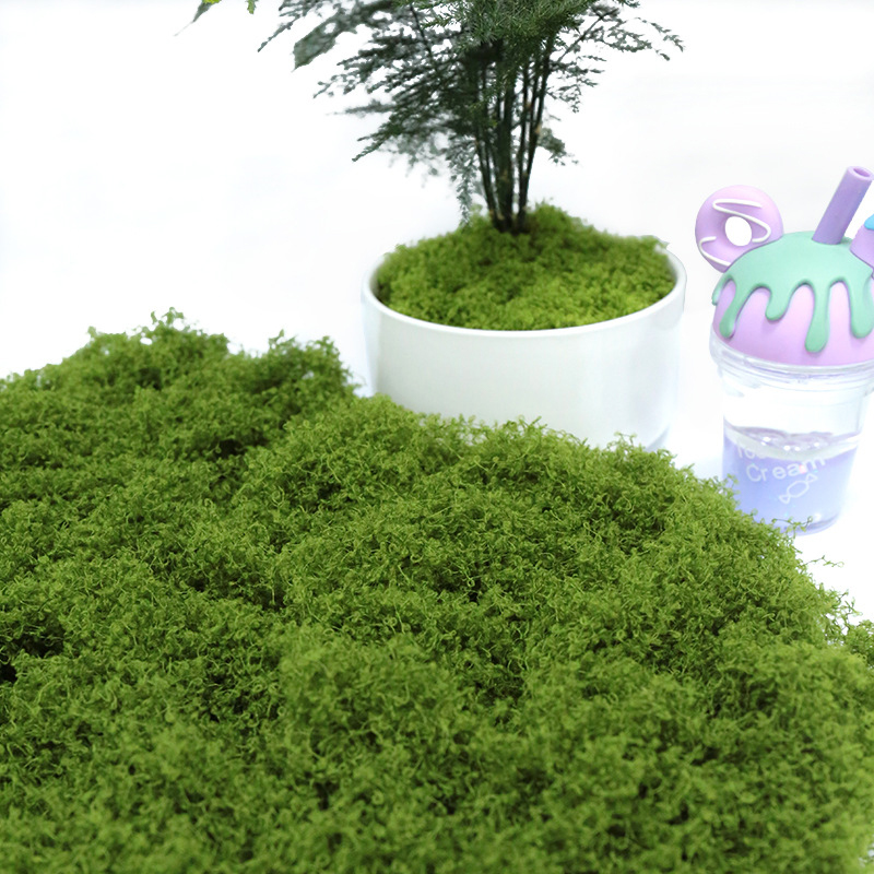 【P】50g Fake Moss DIY Crafts Gr – Sphagnum Moss Dry recenzja i cena