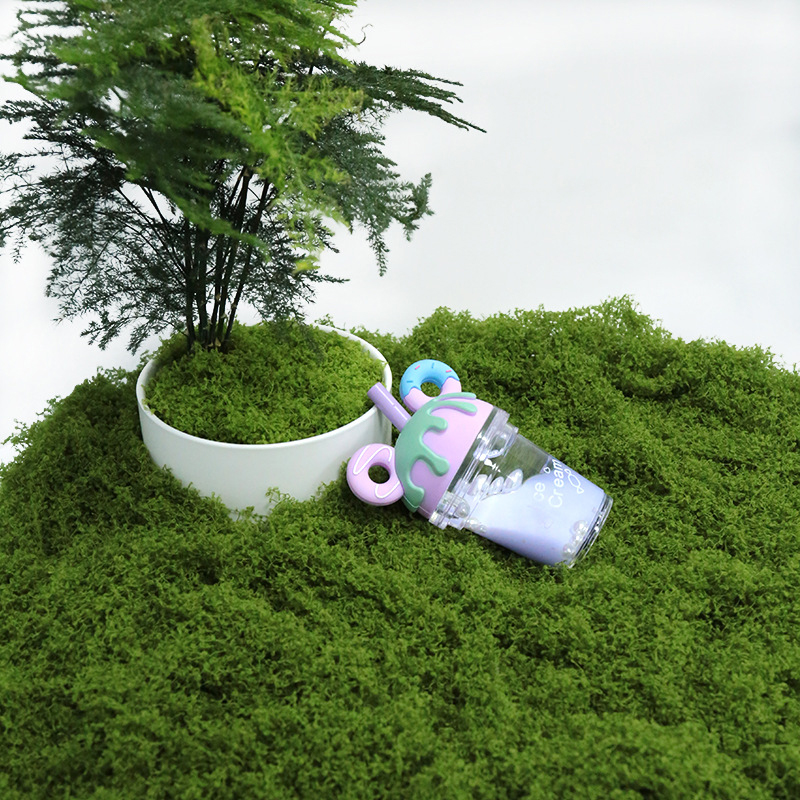【P】50g Fake Moss DIY Crafts Gr – Sphagnum Moss Dry recenzja i cena