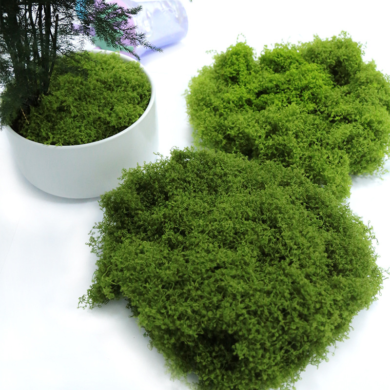 【P】50g Fake Moss DIY Crafts Gr – Sphagnum Moss Dry recenzja i cena