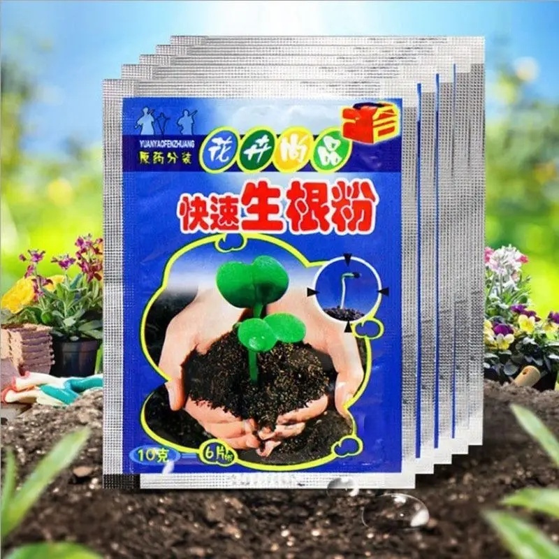 5pcs Fast Rooting Powder Plant – Rooting Hormone Powder recenzja i cena