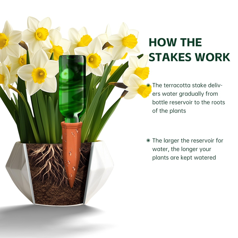 Terracotta Watering Spikes,Win – Self Watering Insert recenzja i cena