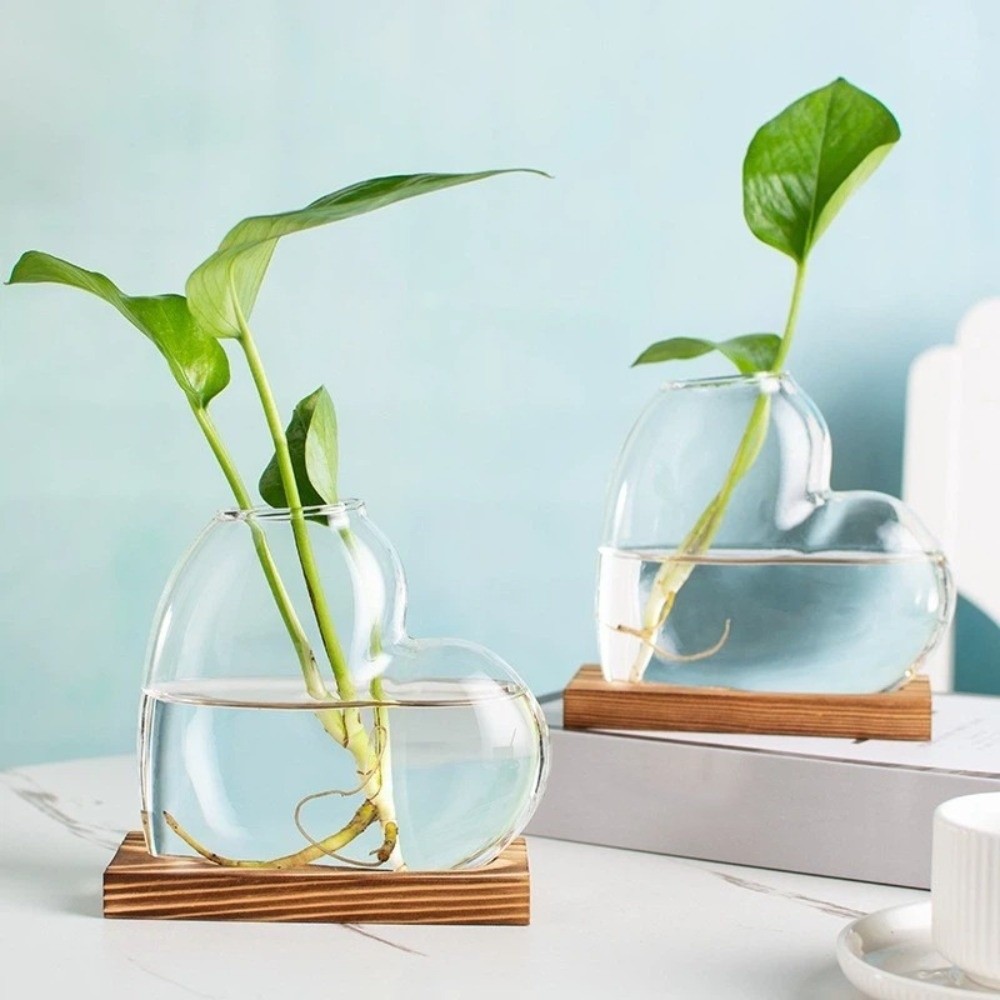 Transparent Hydroponic Glass V – Propagation Station Vase recenzja i cena