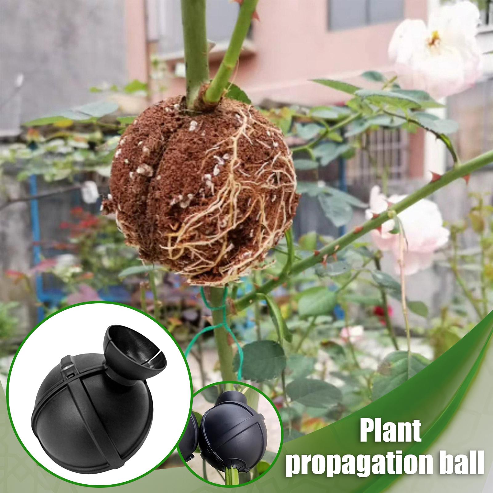 Garden Orchard Plants Grafting – Rooting Gel Clone recenzja i cena