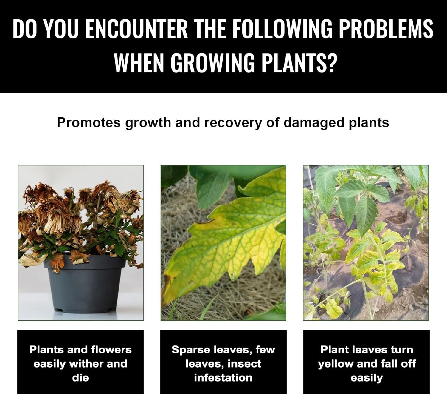 Liquid Plant Growth Enhancers  – Root Stimulator Liquid recenzja i cena