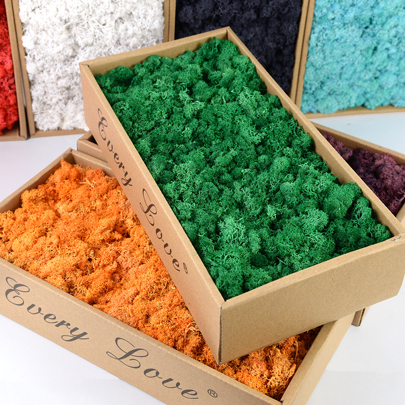 40/20g Artificial Moss Grass G – Sphagnum Moss Dry recenzja i cena
