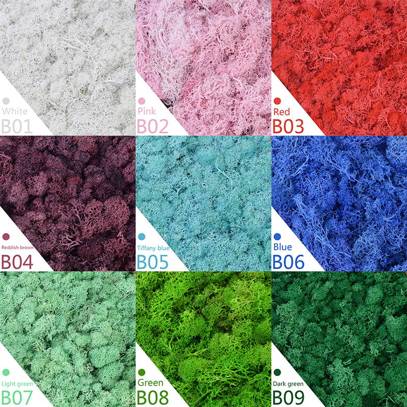 40/20g Artificial Moss Grass G – Sphagnum Moss Dry recenzja i cena