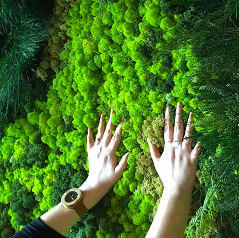 40/20g Artificial Moss Grass G – Sphagnum Moss Dry recenzja i cena