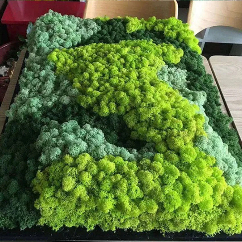 40/20g Artificial Moss Grass G – Sphagnum Moss Dry recenzja i cena