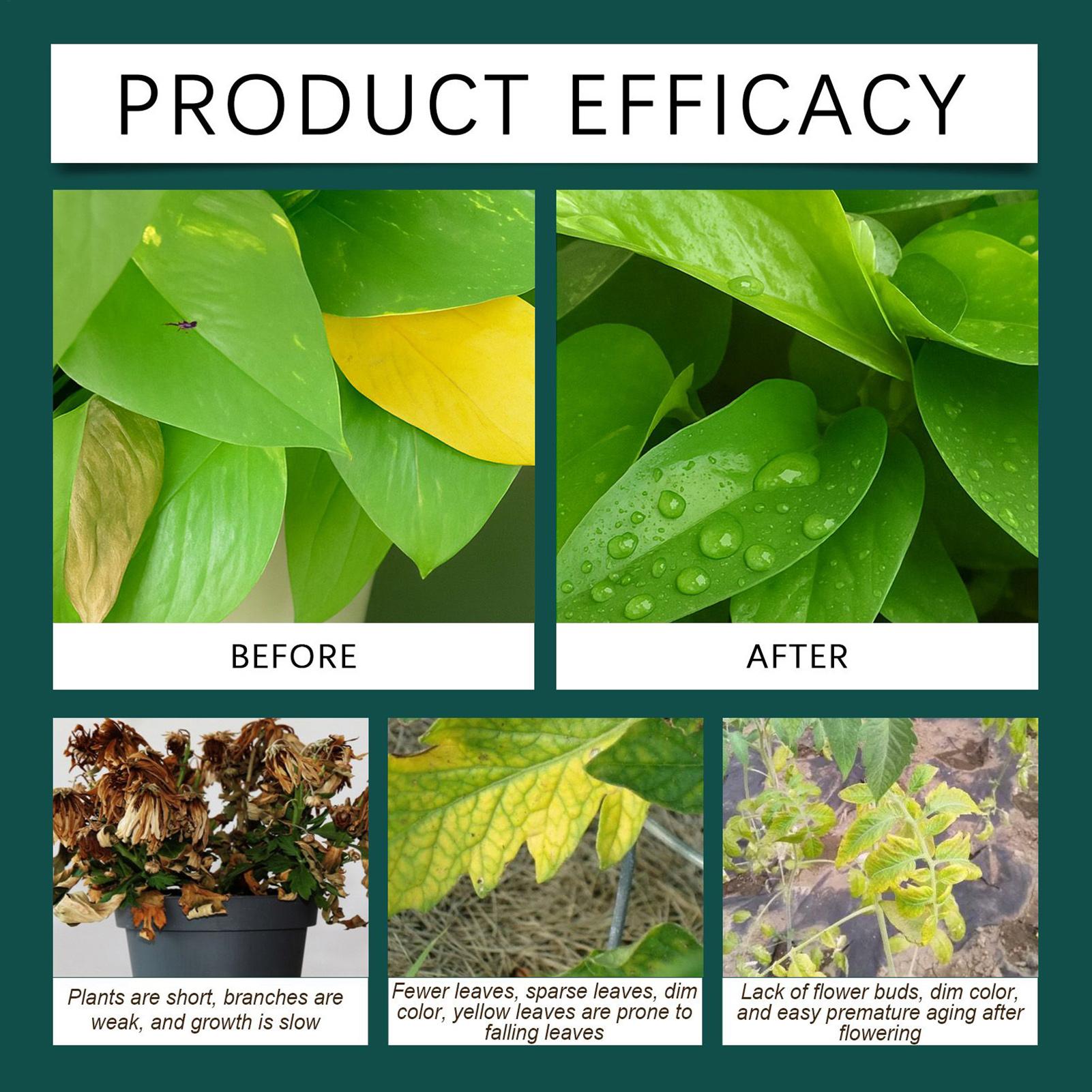 100ml Plant Rooting Liquid Dro – Root Stimulator Liquid recenzja i cena
