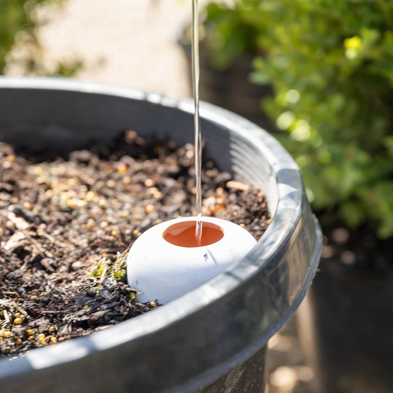 Plant Watering Ball, Terracott – Self Watering Insert recenzja i cena